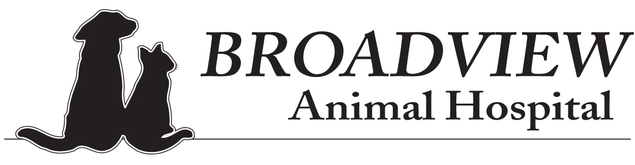 Broadview Animal Hospital